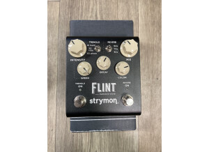 Strymon Flint V2 (42098)