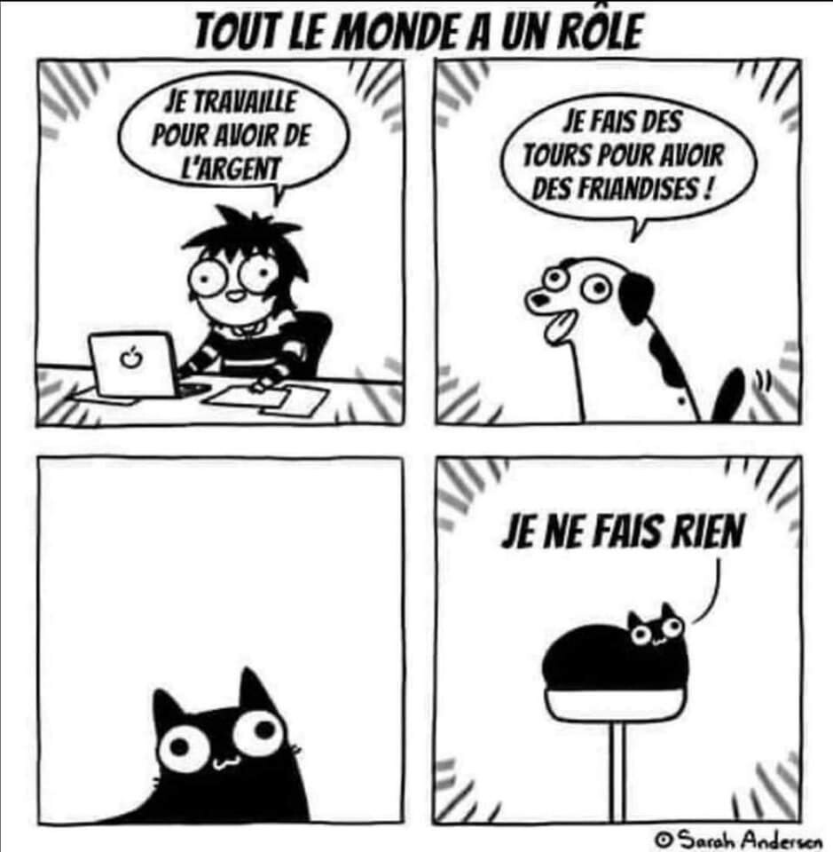 6015318.jpg 6015318.jpg