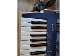 Waldorf Micro Q Keyboard (83128)