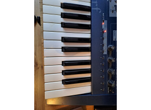 Waldorf Micro Q Keyboard (87473)
