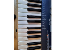 Waldorf Micro Q Keyboard (31569)