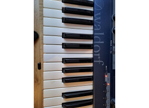 Waldorf Micro Q Keyboard (31569)