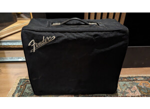 Fender '68 Custom Princeton Reverb (868)