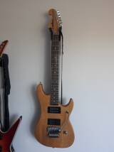 Washburn N2