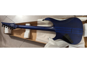 Ibanez RGRT621DPB (79057)