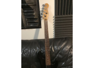 Fender Standard Jazz Bass Fretless [2009-2017] (89381)