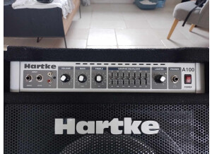 Hartke A100