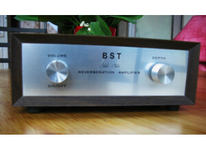 Bst reverberation amplifier (57483)