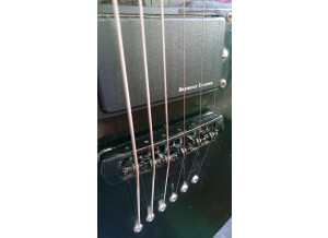 Jackson JS Kelly JS30KE (4166)