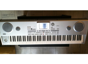 Korg Pa588 (8471)