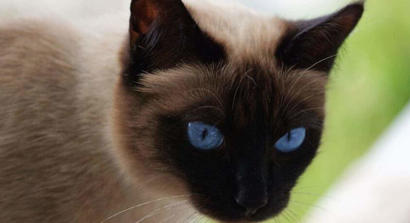 6019772.png 6019772.png