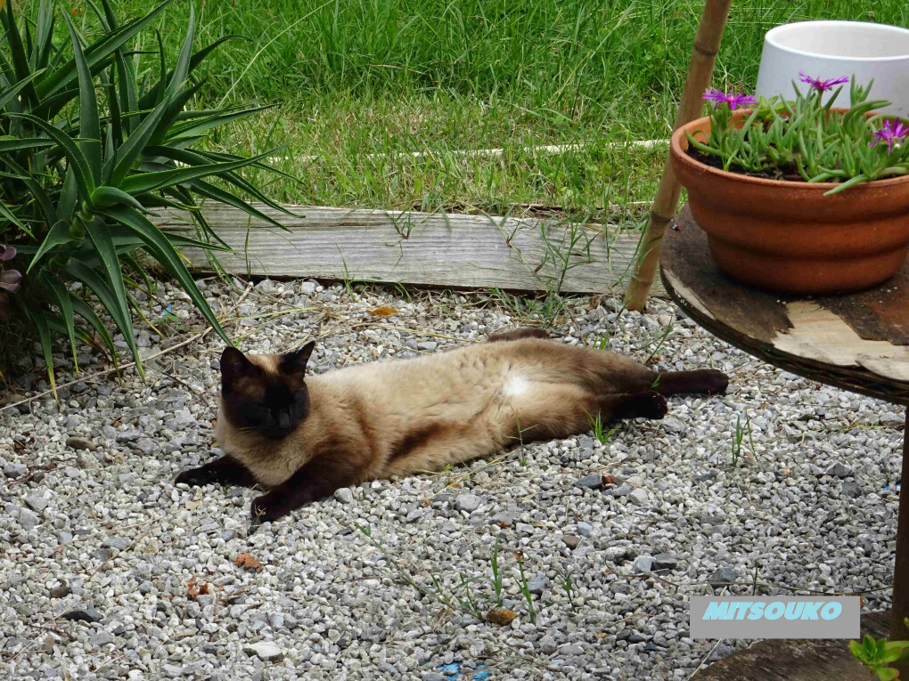 6019790.jpg 6019790.jpg