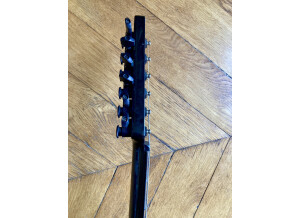 Parker Guitars NiteFly M (5315)