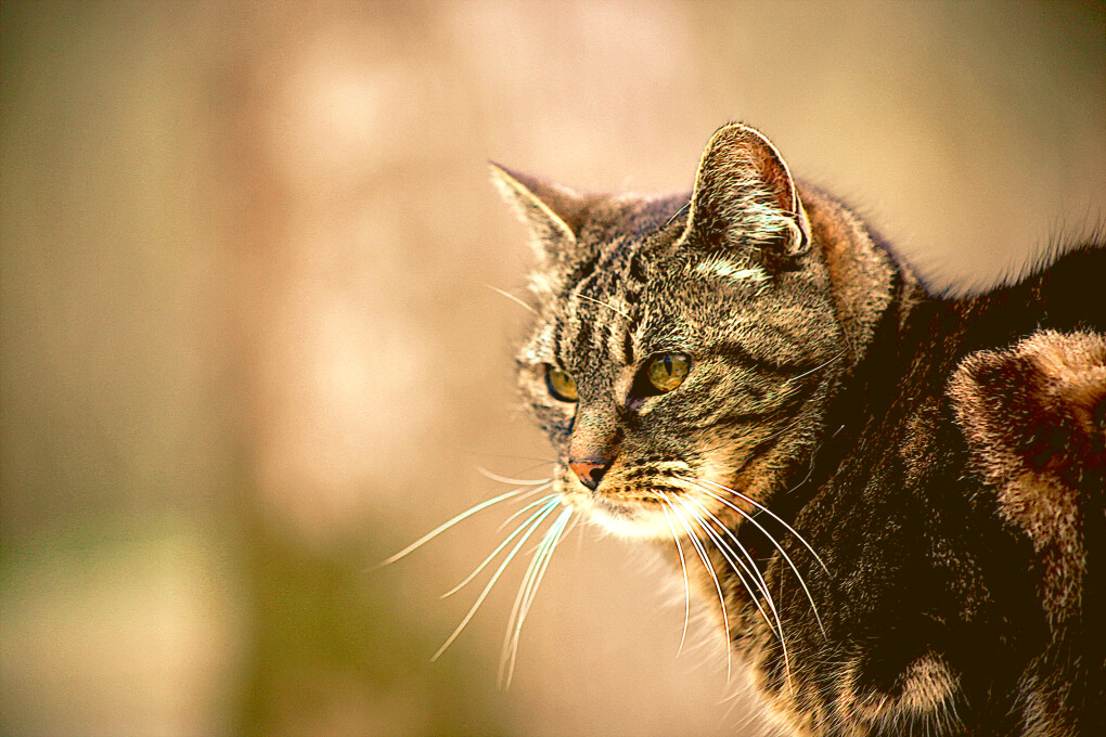 6020368.png 6020368.png