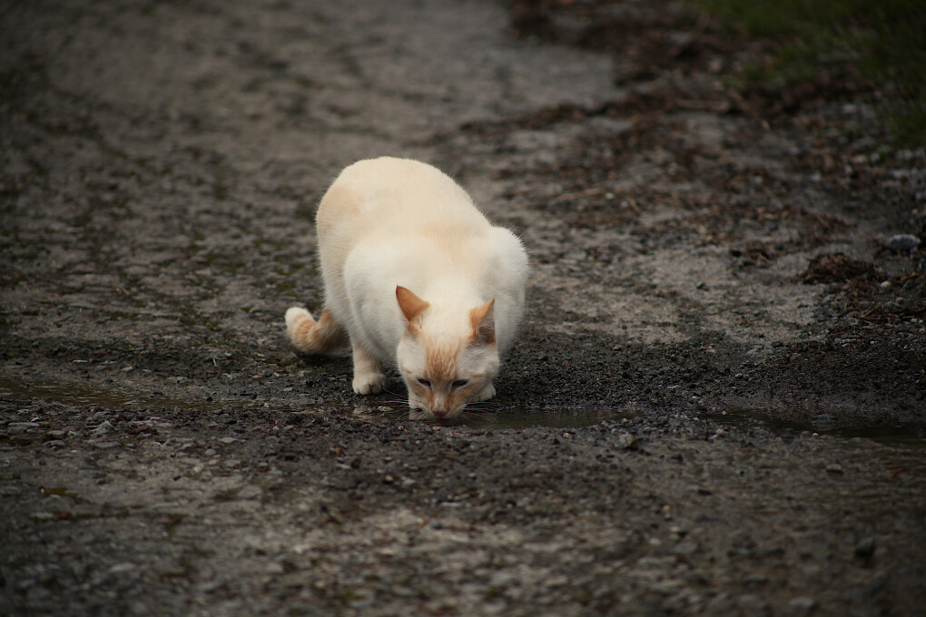 6020369.jpg 6020369.jpg