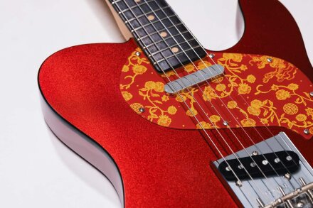Limited Edition Raphael Saadiq TelecasterBODY Limited Edition Raphael Saadiq TelecasterBODY