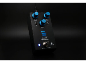 Blues Disorder Overdrive and Distortion2