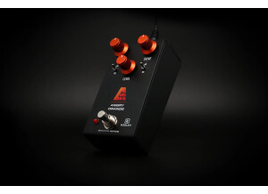 Angry Orange Distortion and Fuzz2