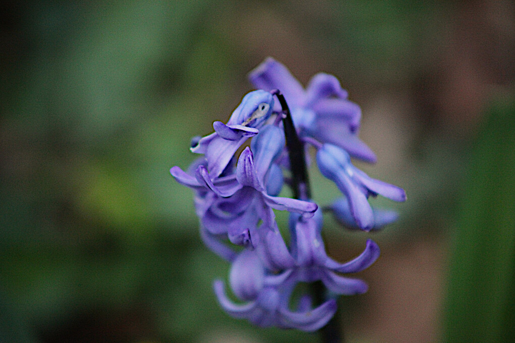 6020831.jpg 6020831.jpg