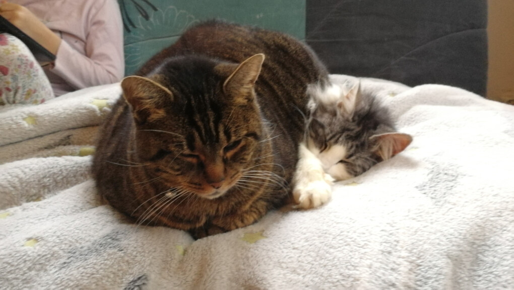 6020943.jpg 6020943.jpg