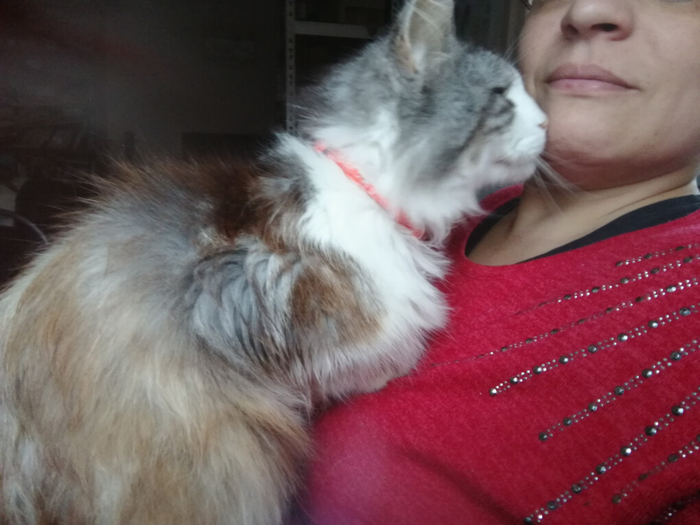 6020946.jpg 6020946.jpg