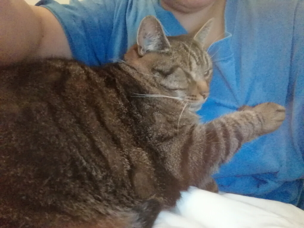 6020947.jpg 6020947.jpg