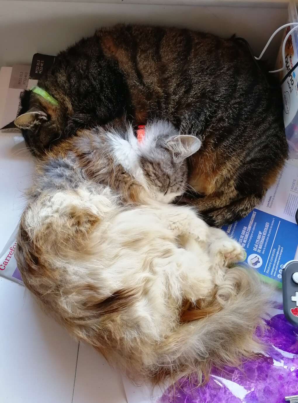 6020948.jpg 6020948.jpg