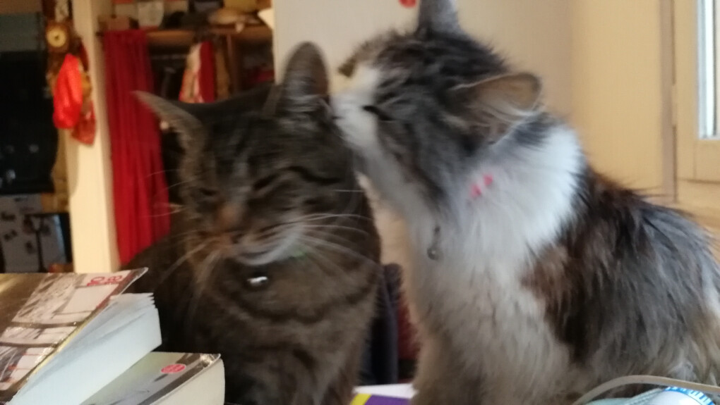 6020950.jpg 6020950.jpg