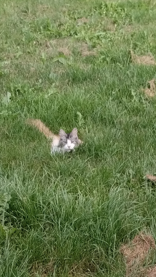 6020951.jpg 6020951.jpg