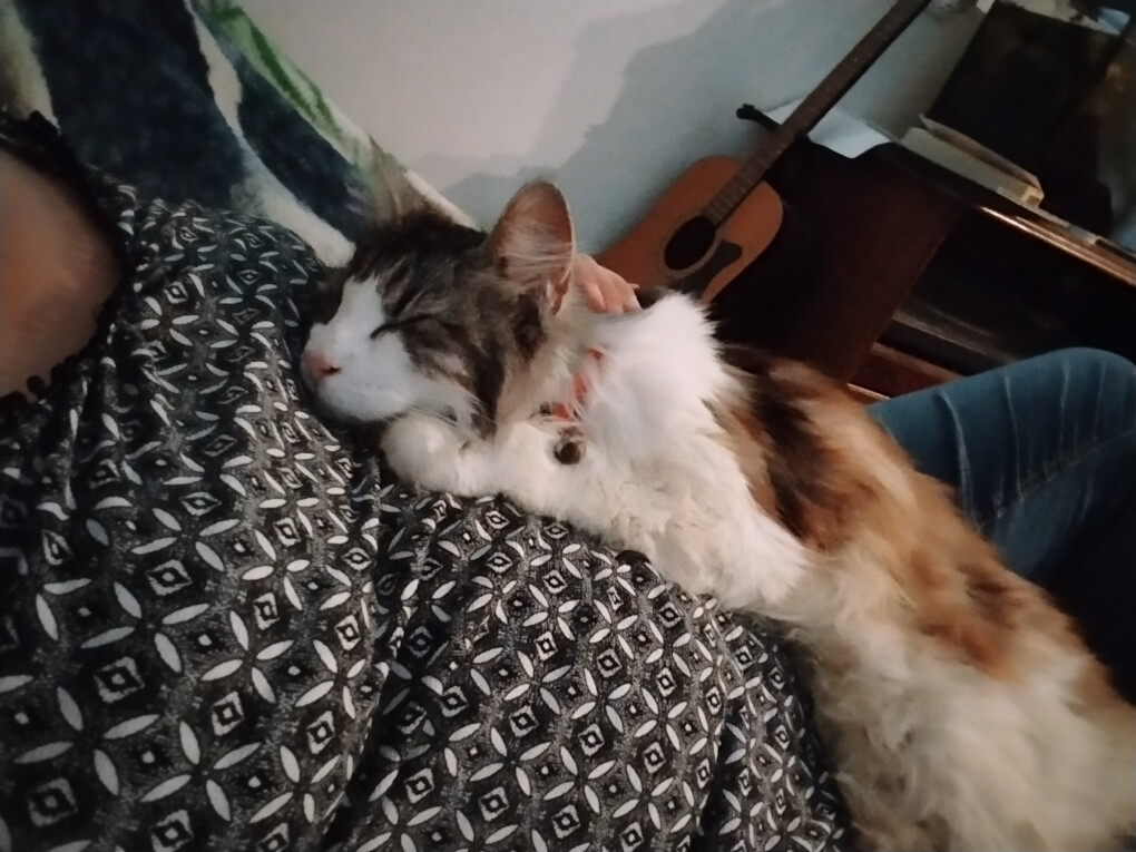 6020952.jpg 6020952.jpg