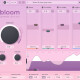 Bloom Bloom
