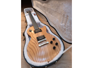 Gibson Les Paul Smartwood (35344)