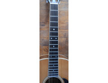 Martin & Co D12-35 50th Anniversary (6091)