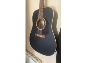 Art & Lutherie Cedar (95790)