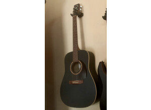 Art & Lutherie Cedar (73483)