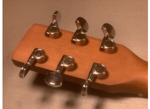 Art & Lutherie Cedar (40928)