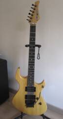 SFG (Steve Fouché Guitars) FF