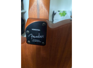 Fender American Acoustasonic Telecaster (74370)