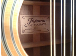 Jasmine TS612