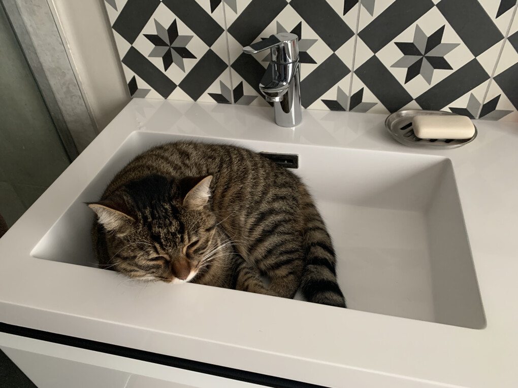 6025600.jpeg 6025600.jpeg