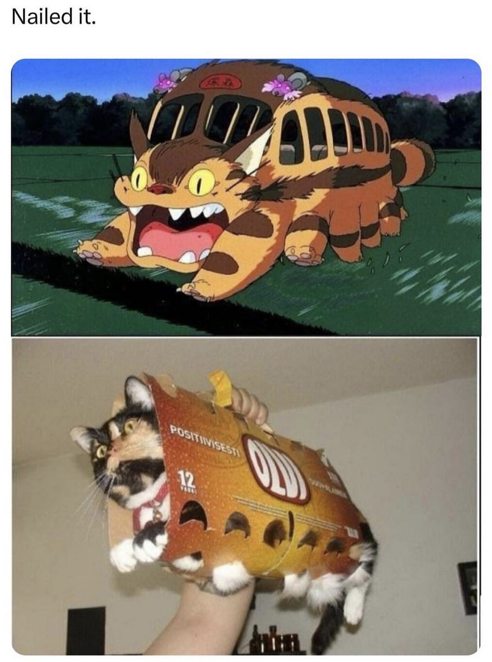 6026261.png 6026261.png