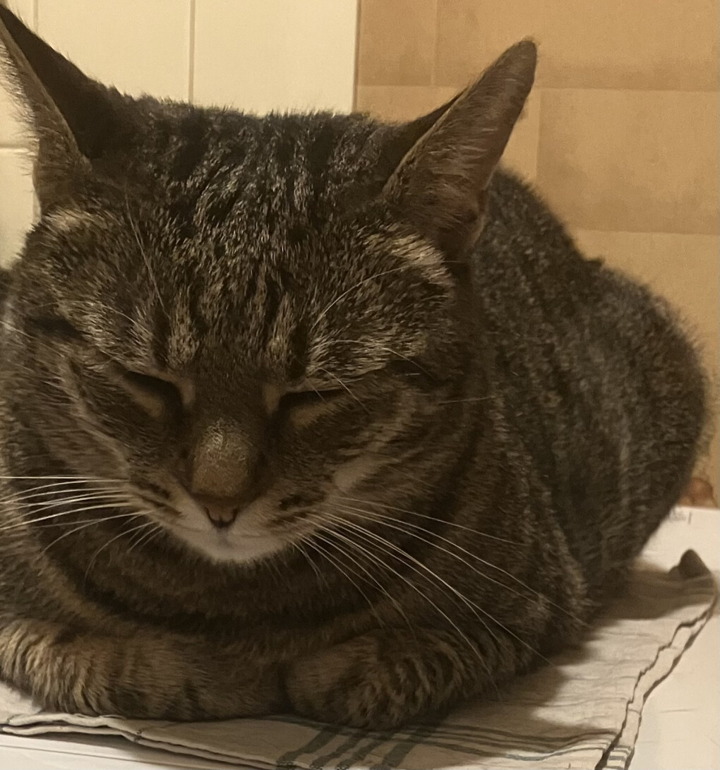 6026280.jpeg 6026280.jpeg