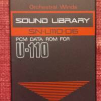 vends ROLAND CARTE SN-U110-06 POUR U110/U220/D70