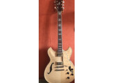 Vends Guitare Ibanez AS 103 NT-12-03 avec étui