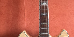 Vends Guitare Ibanez AS 103 NT-12-03 avec étui