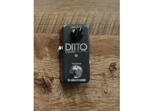 tc-electronic-Ditto-Looper-review-scaled