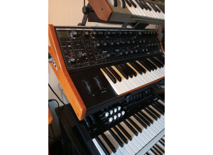 Moog Music Subsequent 37