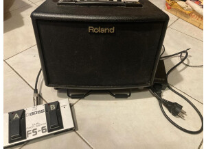 Roland AC-33