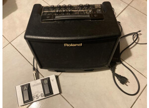 Roland AC-33 (11055)