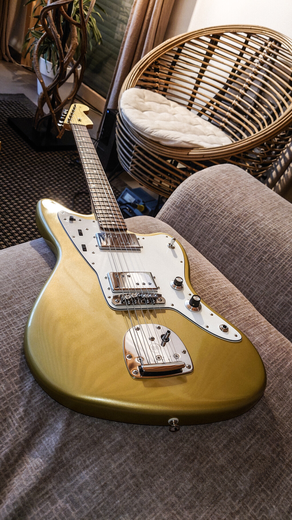 6028821.jpg 6028821.jpg